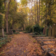 Illustration for article titled From beyond the graveyard: the rich roots of cemetery terroir